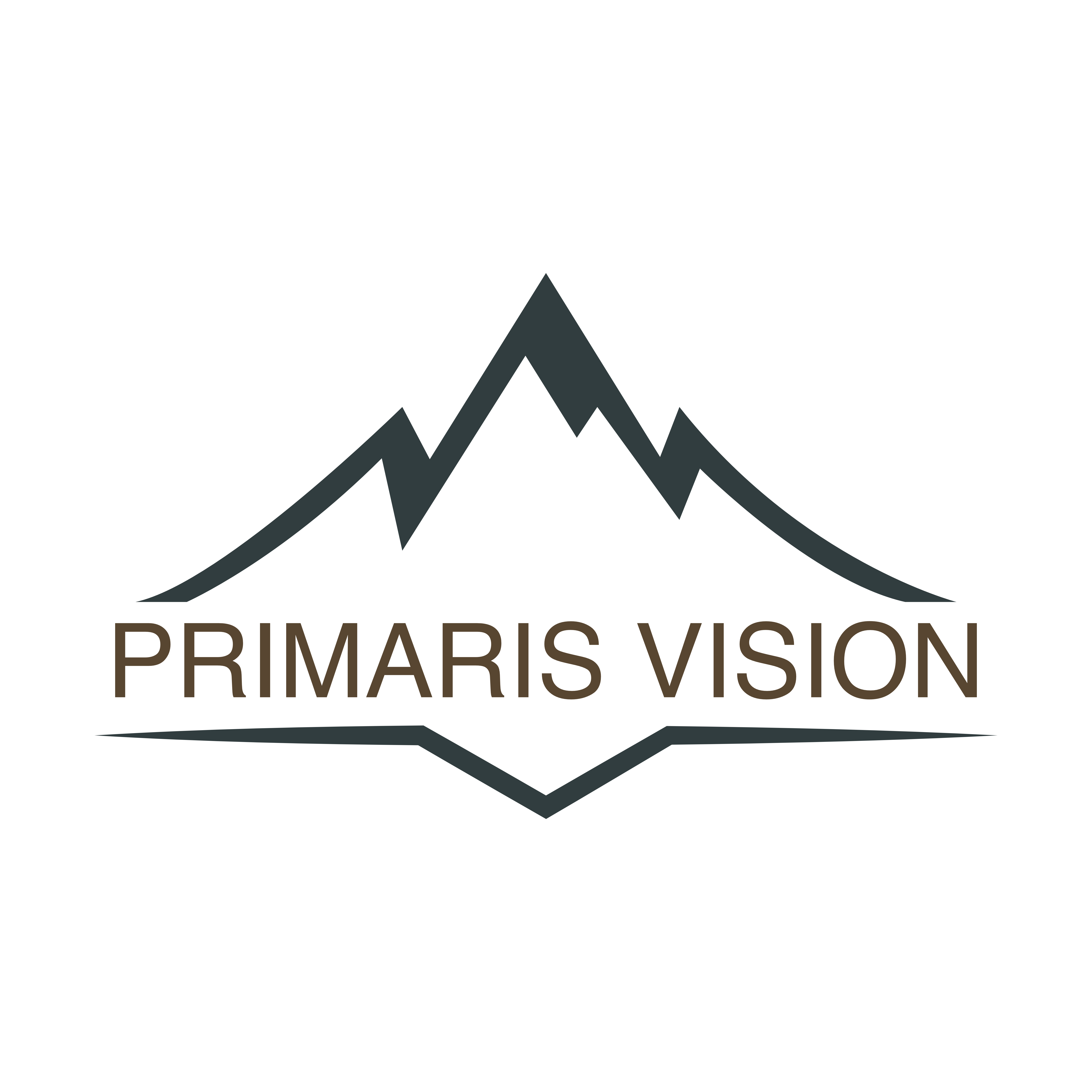 Primaris Vision